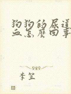 狗狗的尿道口流血怎么回事