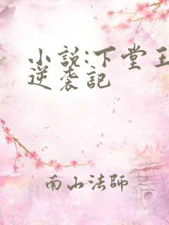 小说:下堂王妃逆袭记