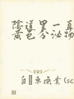 阴道里一直流出黄色分泌物