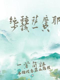 纯种萨摩耶狗多少钱一只