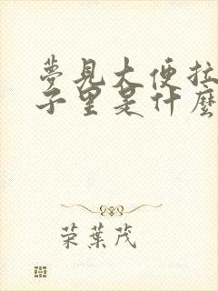 梦见大便拉在裤子里是什么意思