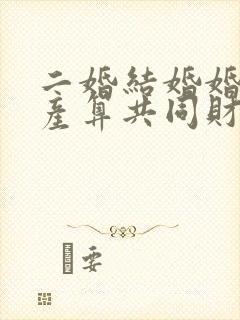 二婚结婚婚前财产算共同财产吗