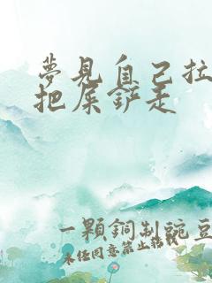 梦见自己拉屎又把屎铲走