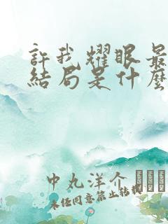 许我耀眼最后大结局是什么