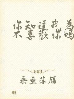 你知道我为什么不喜欢你吗是什么歌