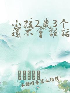 小孩2岁3个月还不会说话怎么办