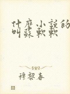 什么小说的女主叫苏软软