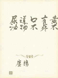 尿道口有黄色分泌物不疼不痒