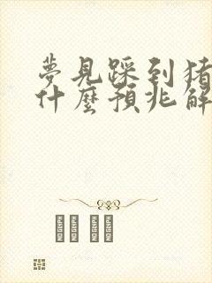 梦见踩到猪屎是什么预兆解梦