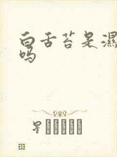 白舌苔是湿气重吗