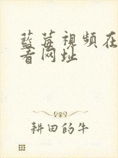 蓝莓视频在线观看网址