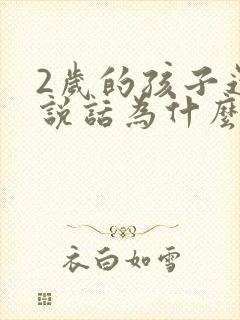 2岁的孩子还不说话为什么