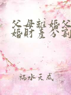 父母离婚父亲再婚财产分割