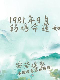 1981年9月的鸡命运如何