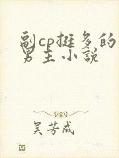 副cp挺多的双男主小说