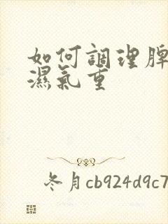 如何调理脾胃虚湿气重