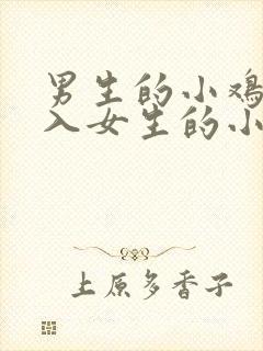 男生的小鸡鸡插入女生的小鸡鸡里的视频