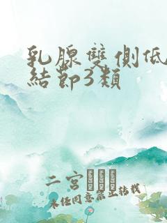 乳腺双侧低回声结节3类