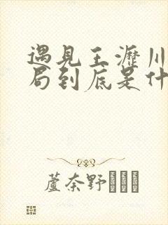 遇见王沥川的结局到底是什么