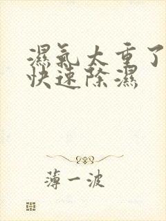 湿气太重了如何快速除湿