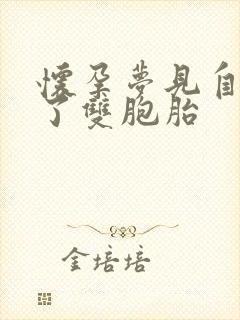 怀孕梦见自己生了双胞胎