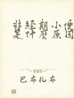 非经期小便有血是什么原因