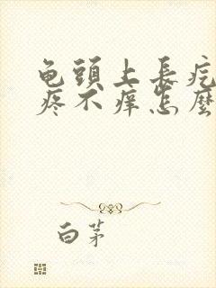 龟头上长疙瘩不疼不痒怎么回事