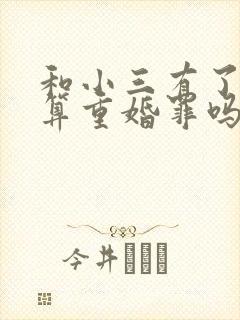 和小三有了孩子算重婚罪吗