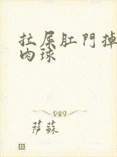 拉屎肛门掉出小肉球