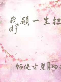 我愿一生把你陪dj