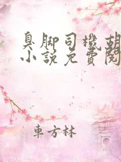 臭脚司机胡叔叔小说免费阅读全文