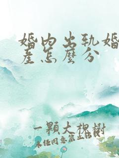 婚内出轨婚内财产怎么分