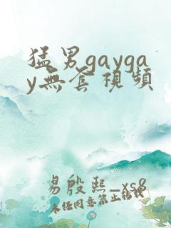 猛男gaygay无套视频