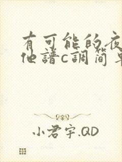 有可能的夜晚吉他谱c调简单版