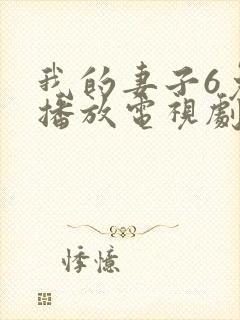 我的妻子6免费播放电视剧