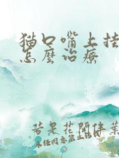 猫口嘴上挂粘液怎么治疗