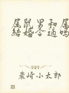 属鼠男和属羊女结婚合适吗