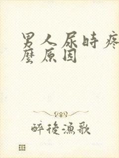 男人尿时疼是什么原因