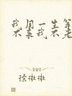 我用一生等你你不来我不老什么歌