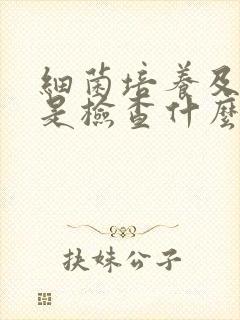 细菌培养及鉴定是检查什么妇科