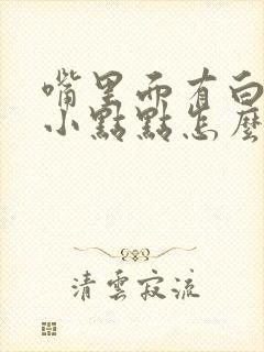 嘴里面有白色的小点点怎么回事