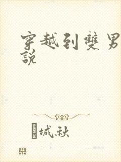 穿越到双男主小说