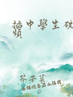 插中学生破处视频