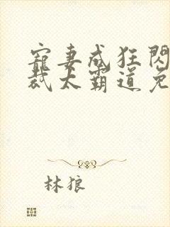 宠妻成狂闪婚总裁太霸道免费阅读全文