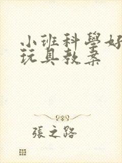 小班科学好玩的玩具教案