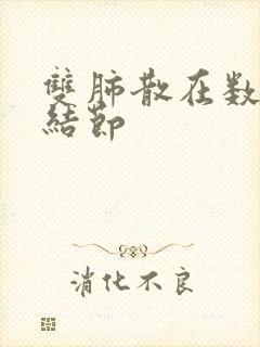 双肺散在数个微结节