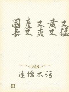 国产又黄又粗又长又爽又猛