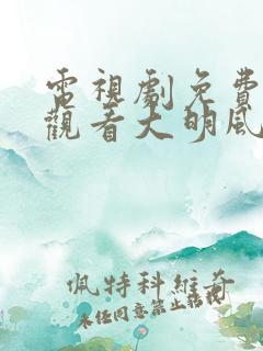 电视剧免费全集观看大明风华