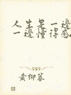 人生是一边经历一边懂得感悟