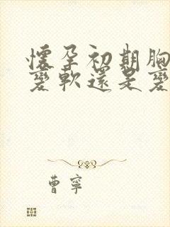 怀孕初期胸部会变软还是变硬